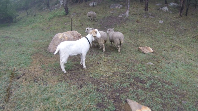 Our pals Patty, Babe, Barb and Betty!